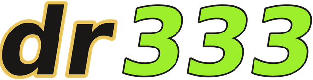 dr333 logo
